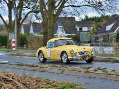 Ferrari 250 GT SWB Berlinetta rijdt op  een weg in een herfstbos