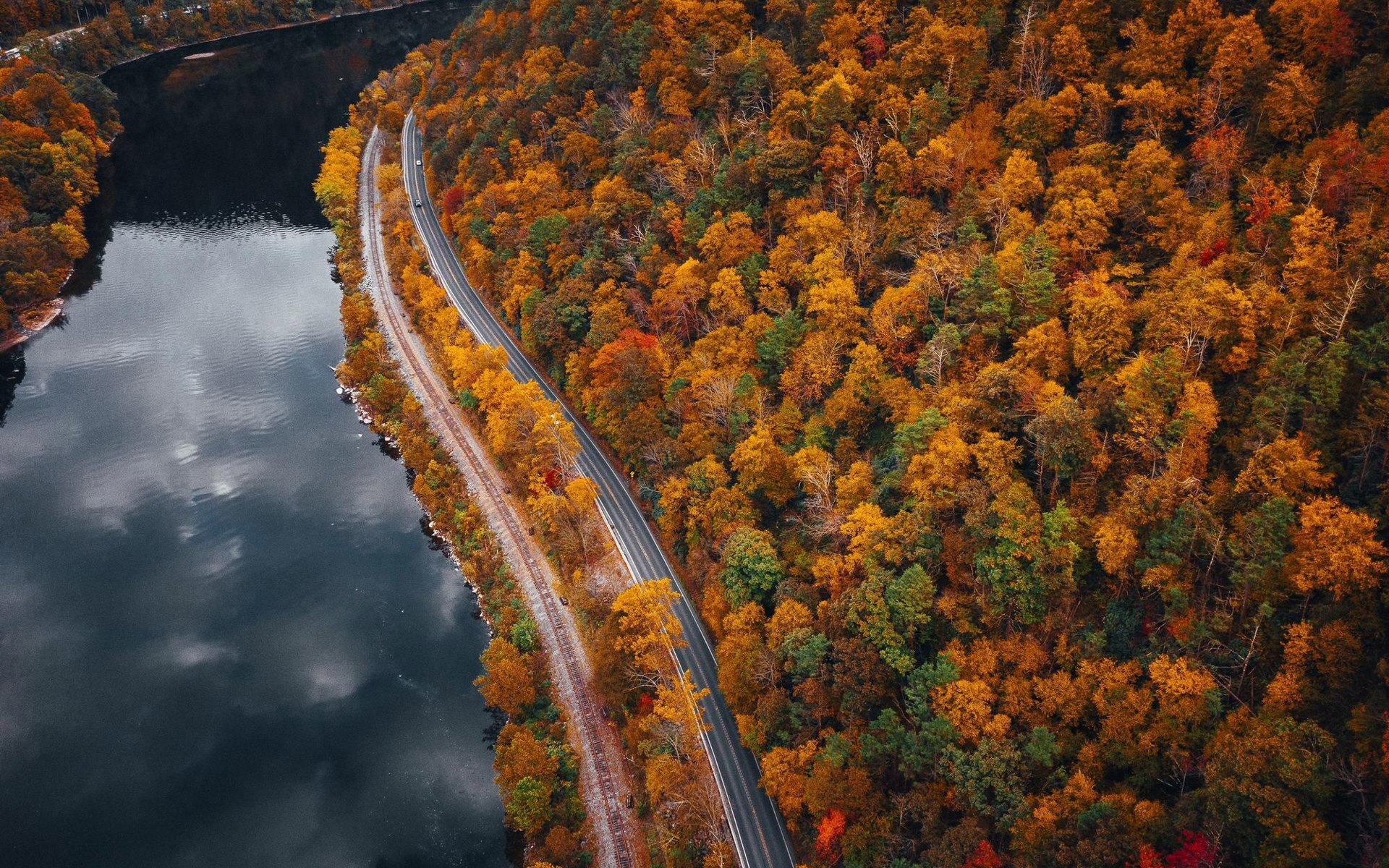 Landscape Road Forest Covered Yellowing Trees Surrounded By Lake 181624 60651