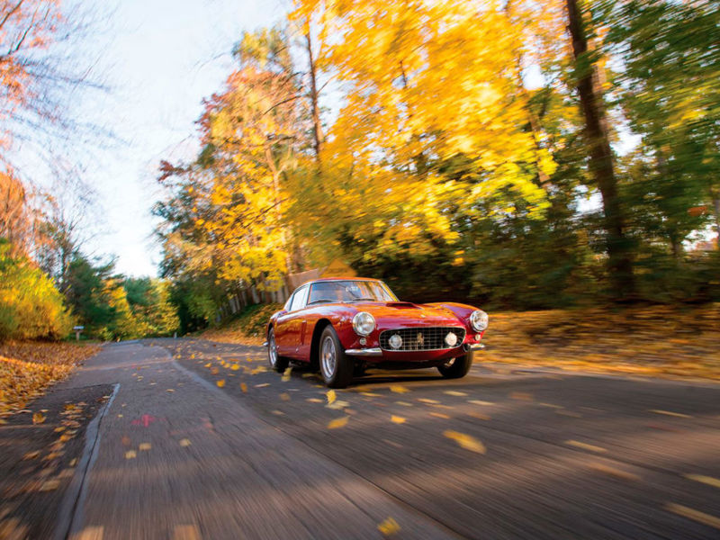 Ferrari 250 GT SWB Berlinetta rijdt op  een weg in een herfstbos
