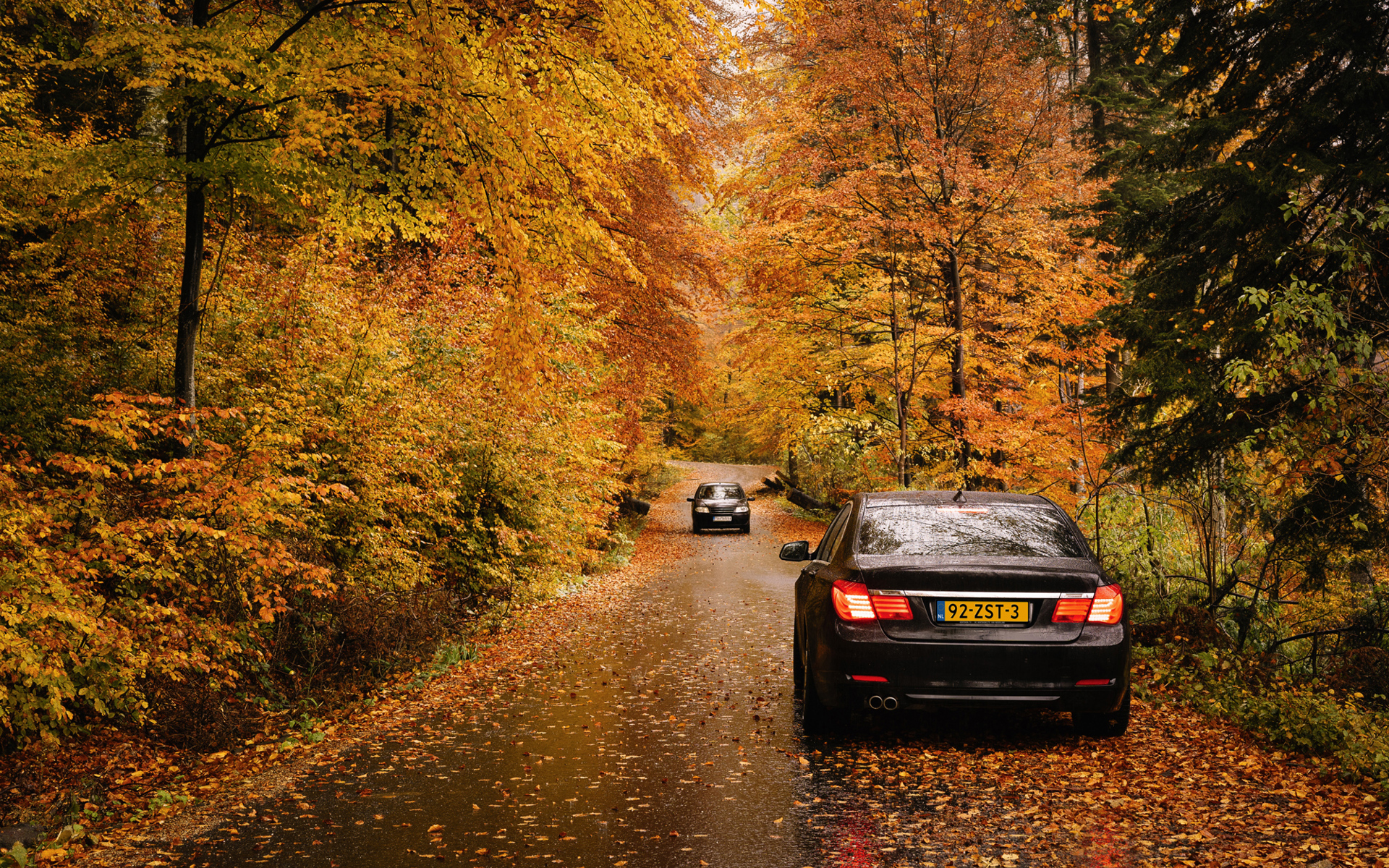 Cars Road Forest During Autumn